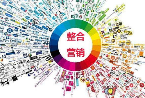 問答營銷實戰指南 高效策略征服百度知道，引爆網絡推廣效果